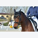 Ingrandisci - BAS1_182355
