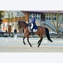 Ingrandisci - BAS1_182360