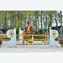 Ingrandisci - BAS1_202636