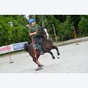 Ingrandisci - LEN_176643