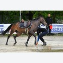 Ingrandisci - LEN_176656