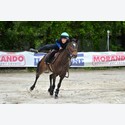 Ingrandisci - LEN_176657