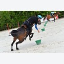 Ingrandisci - LEN_176659