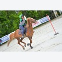 Ingrandisci - LEN_176663