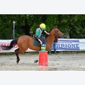 Ingrandisci - LEN_176674