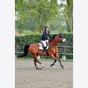 Ingrandisci - LEN_207516