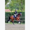 Ingrandisci - LEN_207544