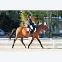 Ingrandisci - BAS1_291675