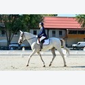 Ingrandisci - BAS1_291692