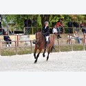 Ingrandisci - BAS1_297912
