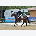 Ingrandisci - LEN_212182