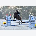 Ingrandisci - BAS1_322024