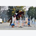 Ingrandisci - BAS1_322030