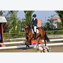 Ingrandisci - LEN_234844