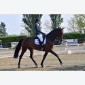 Ingrandisci - LEN_234852