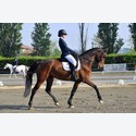 Ingrandisci - LEN_234862