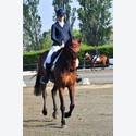 Ingrandisci - LEN_234899