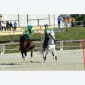 Ingrandisci - BAS1_513013