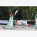 Ingrandisci - BAS1_1691013