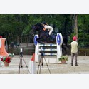 Ingrandisci - BAS1_1691018