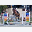 Ingrandisci - BAS1_1710026